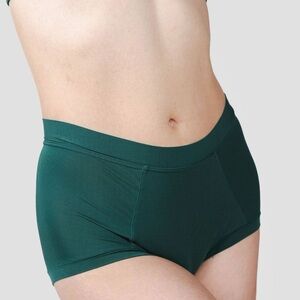 NWT hu-ha Brief Mineral Undies in Green size 3XL